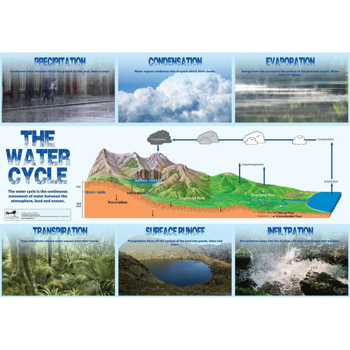 Water Cycle Curriculum Pack:Primary Classroom Resources