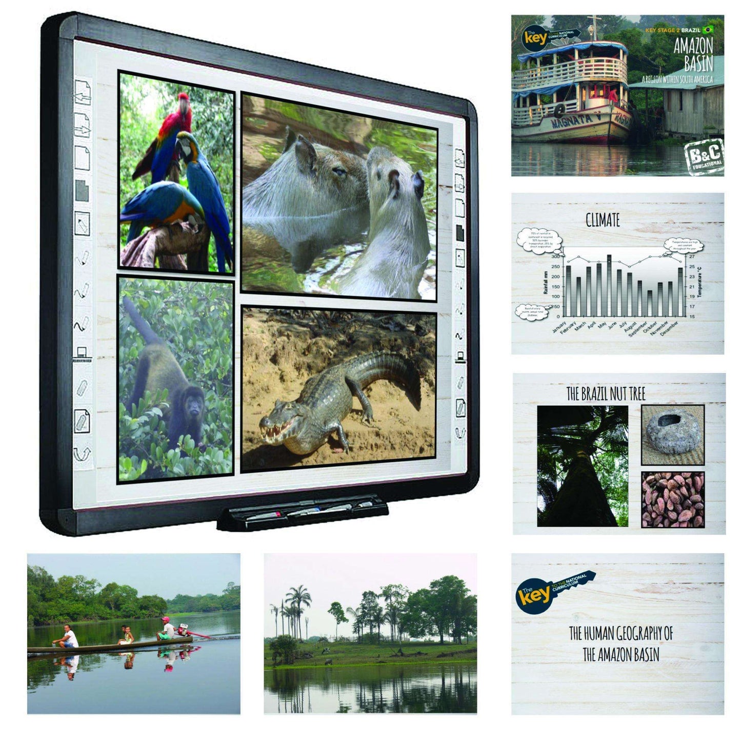 Rainforest Classroom Resource Box:Primary Classroom Resources