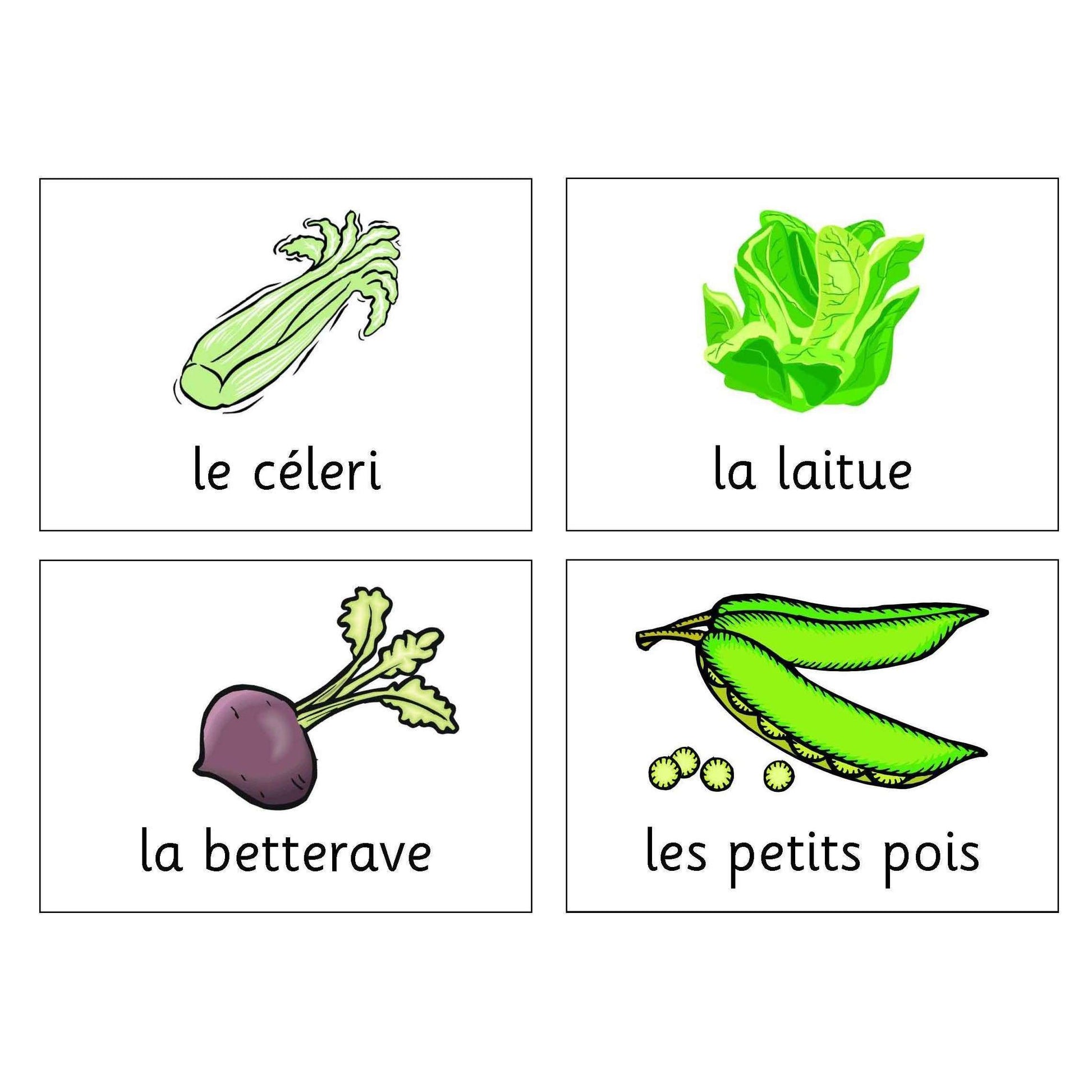 French Vegetables Cards:Primary Classroom Resources