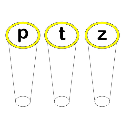 Large CVC Fan:Primary Classroom Resources