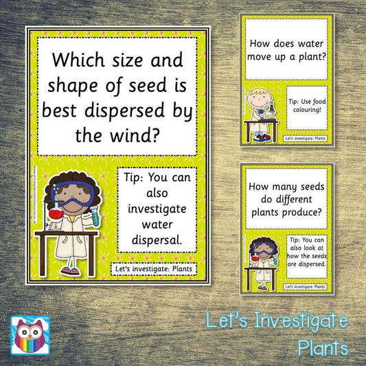 Let's Investigate - Plants - Science Investigations:Primary Classroom Resources