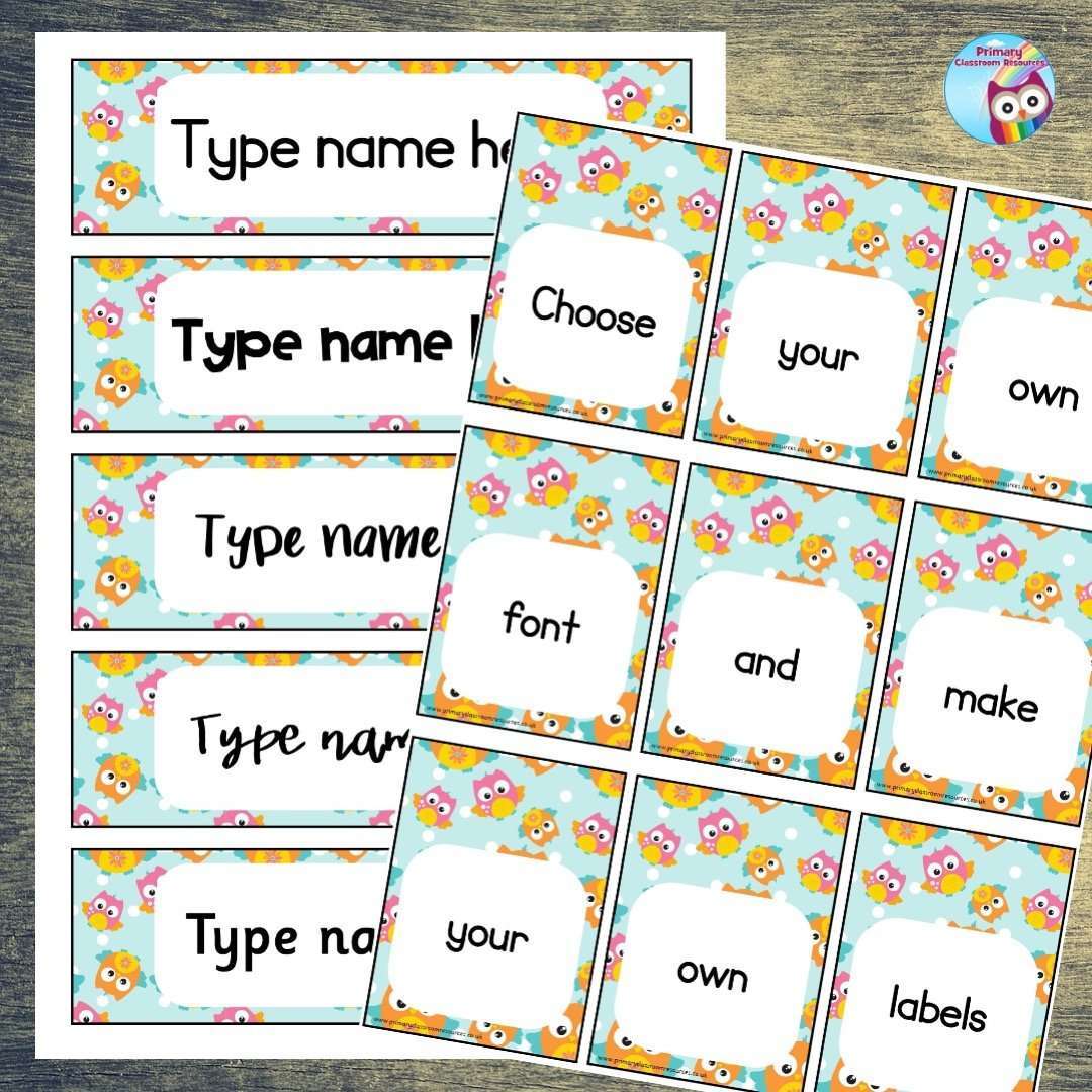 EDITABLE Name Tray & Coat Peg Labels - Owls:Primary Classroom Resources