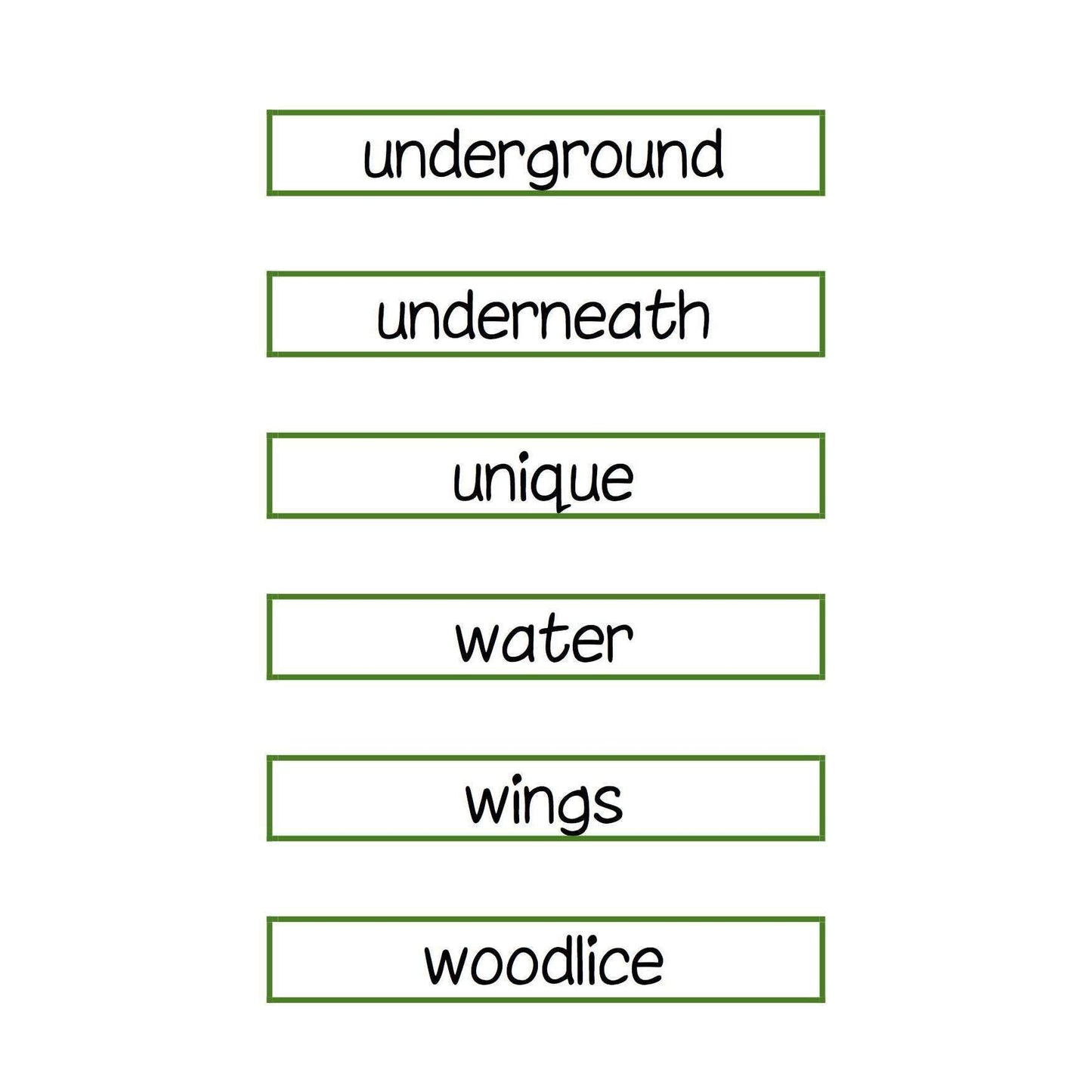 Plants and Animals Pack:Primary Classroom Resources