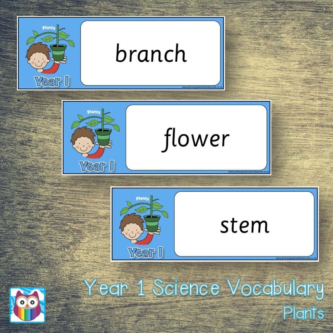 Year 1 Science Vocabulary Pack:Primary Classroom Resources