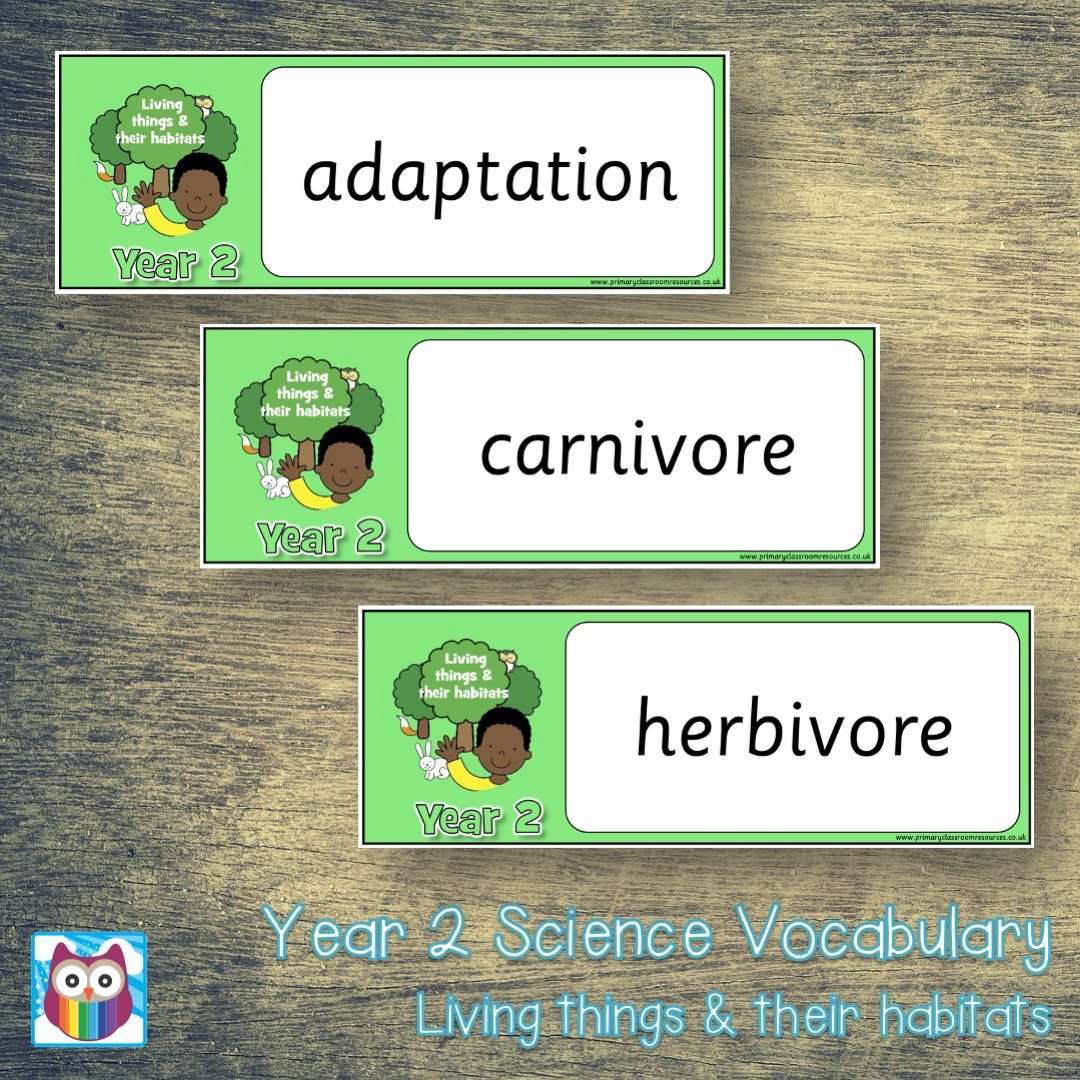Year 2 Science Vocabulary Pack:Primary Classroom Resources