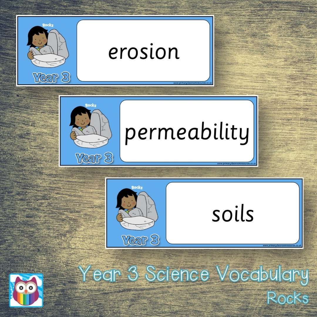Year 3 Science Vocabulary Pack:Primary Classroom Resources