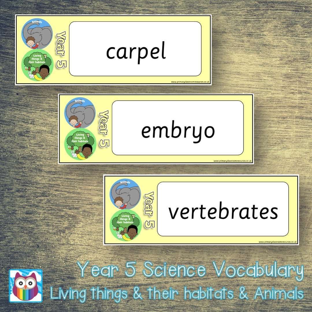 Year 5 Science Vocabulary Pack:Primary Classroom Resources