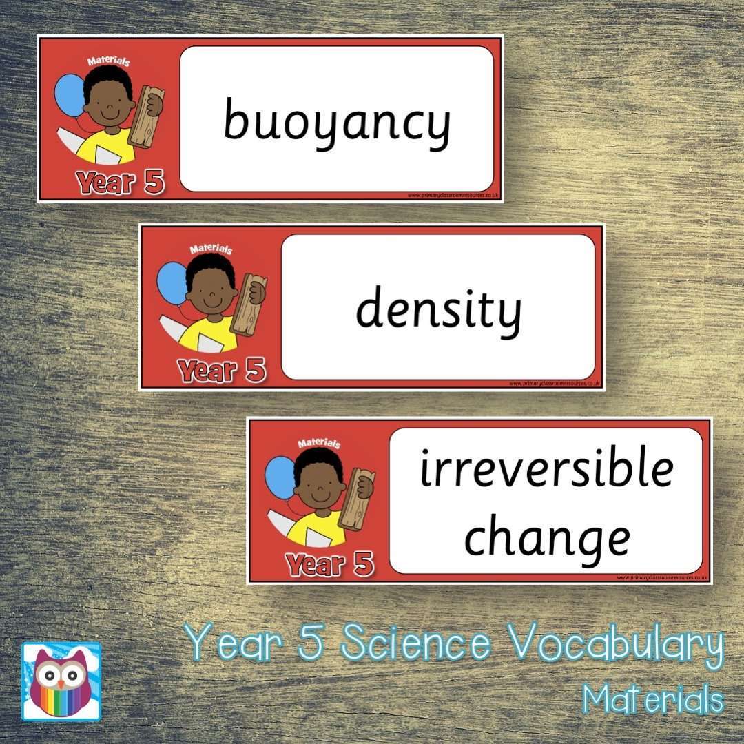 Year 5 Science Vocabulary Pack:Primary Classroom Resources