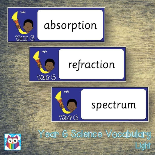 Year 6 Science Vocabulary - Light:Primary Classroom Resources