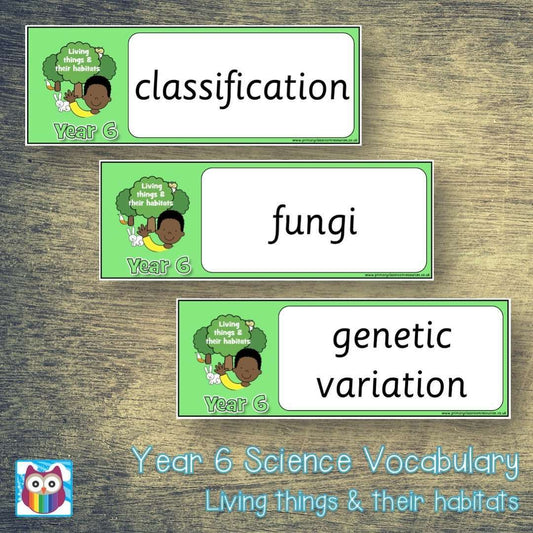 Year 6 Science Vocabulary - Living things and their habitats:Primary Classroom Resources
