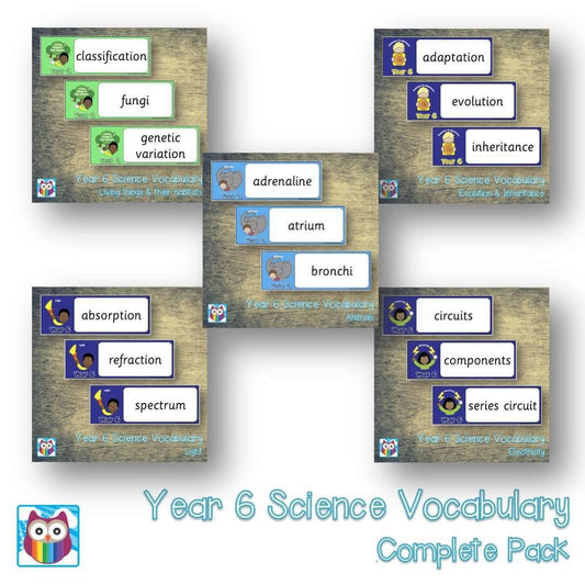 Year 6 Science Vocabulary Pack:Primary Classroom Resources
