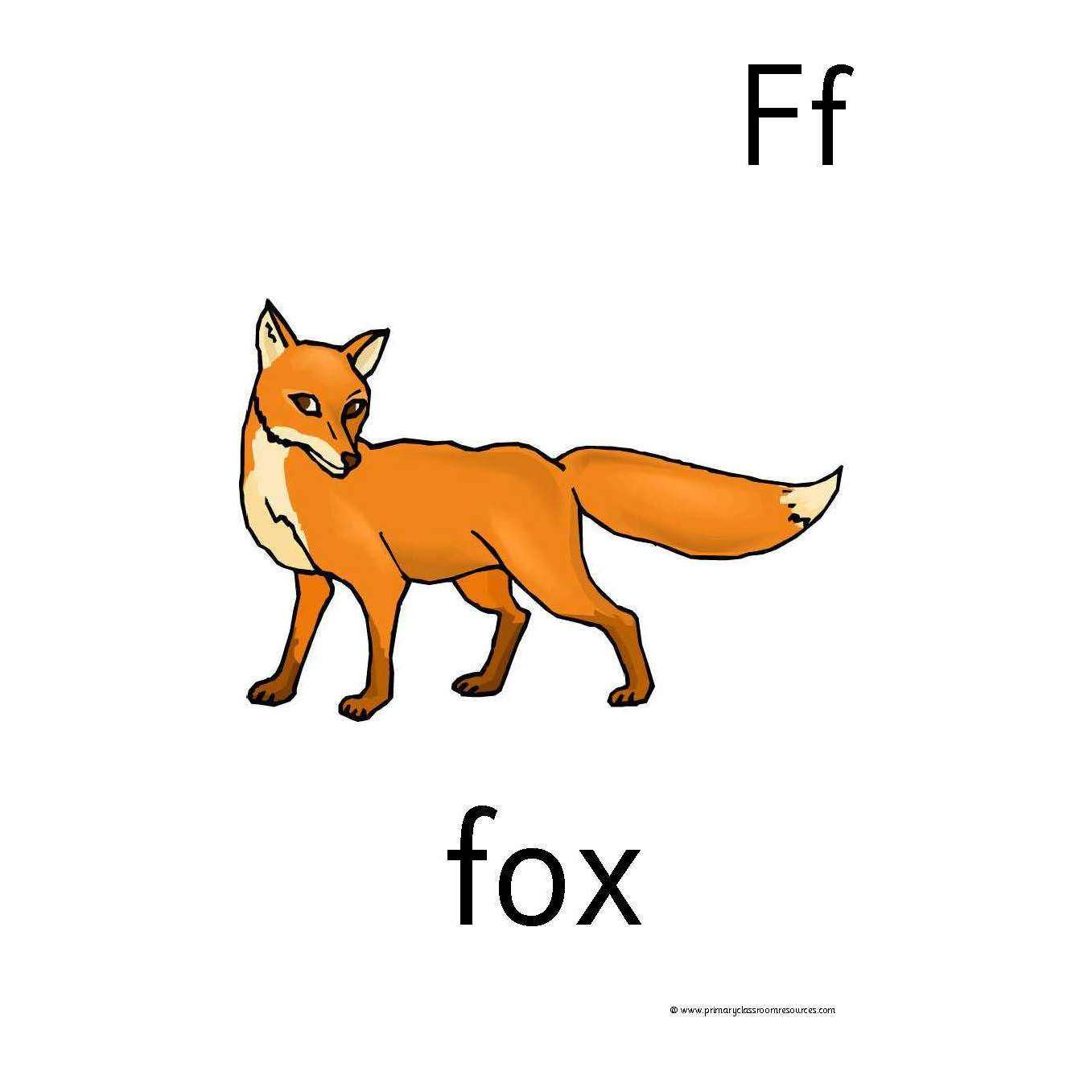 Animal Alphabet:Primary Classroom Resources