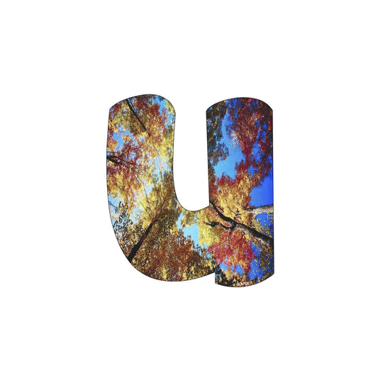 Autumn Themed Display Title:Primary Classroom Resources