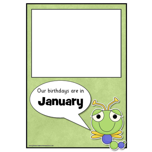 Birthday Bugs Poster Pack:Primary Classroom Resources