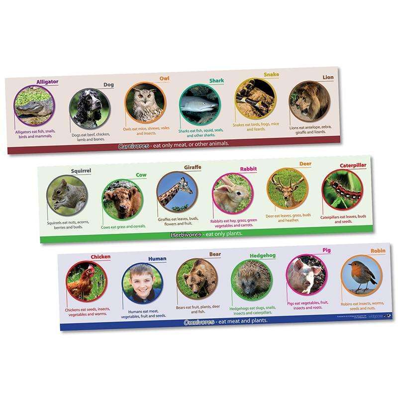 Carnivore, Herbivore and Omnivore frieze:Primary Classroom Resources