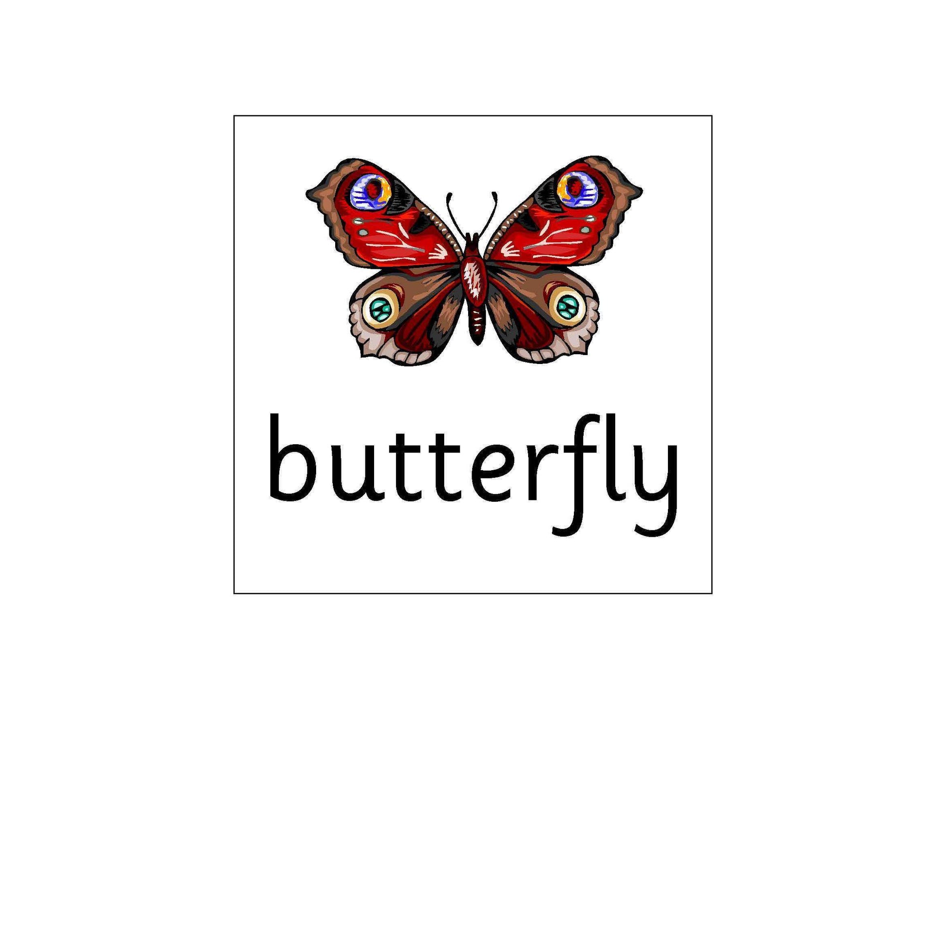 Floor Robot Cards - Minibeast Words and Pictures:Primary Classroom Resources