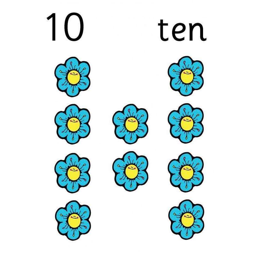 Flower Counting Cards:Primary Classroom Resources