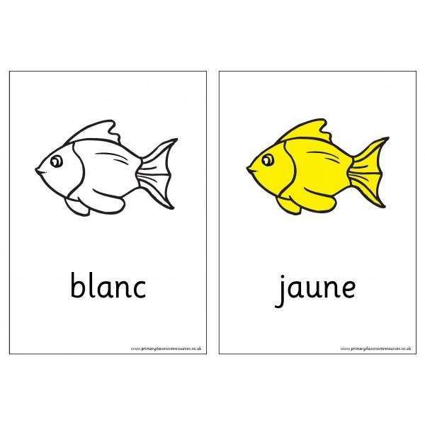 French Vocabulary Cards - Colours:Primary Classroom Resources