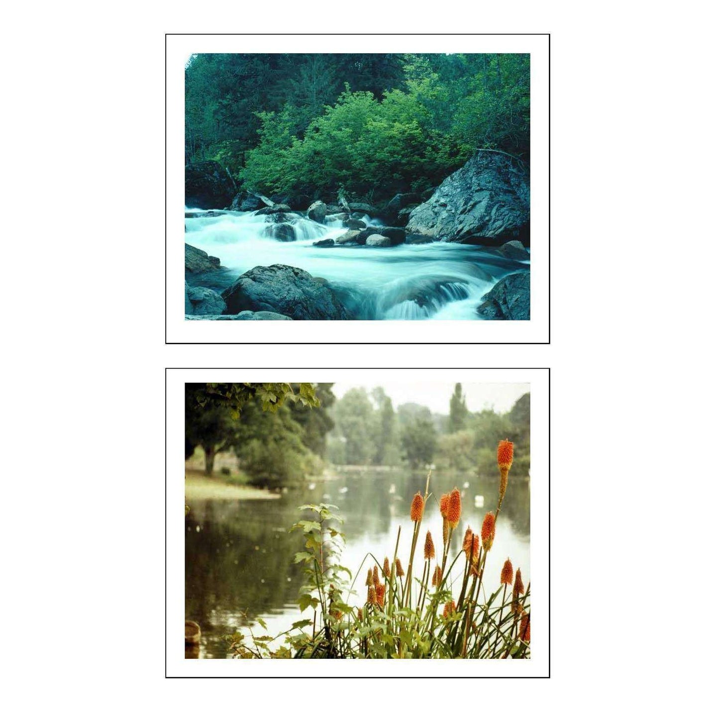 Habitats Display Pack:Primary Classroom Resources
