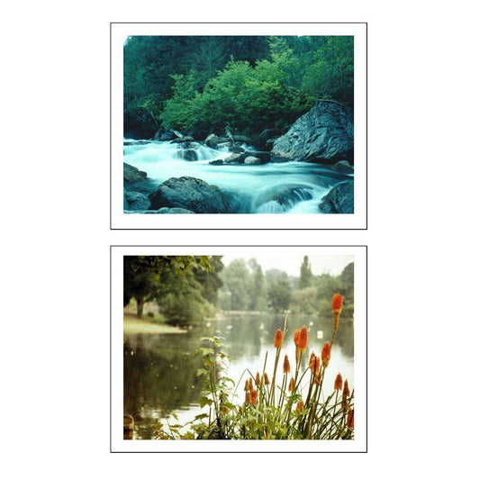 Habitats Display Pack:Primary Classroom Resources