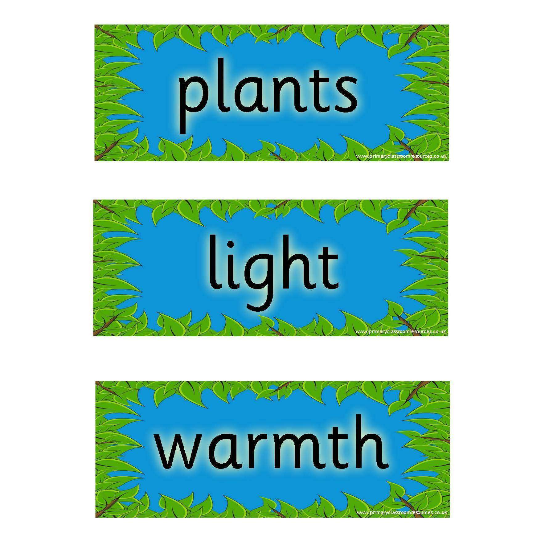 helping-plants-grow-well-vocabulary-cards-primary-classroom-resources