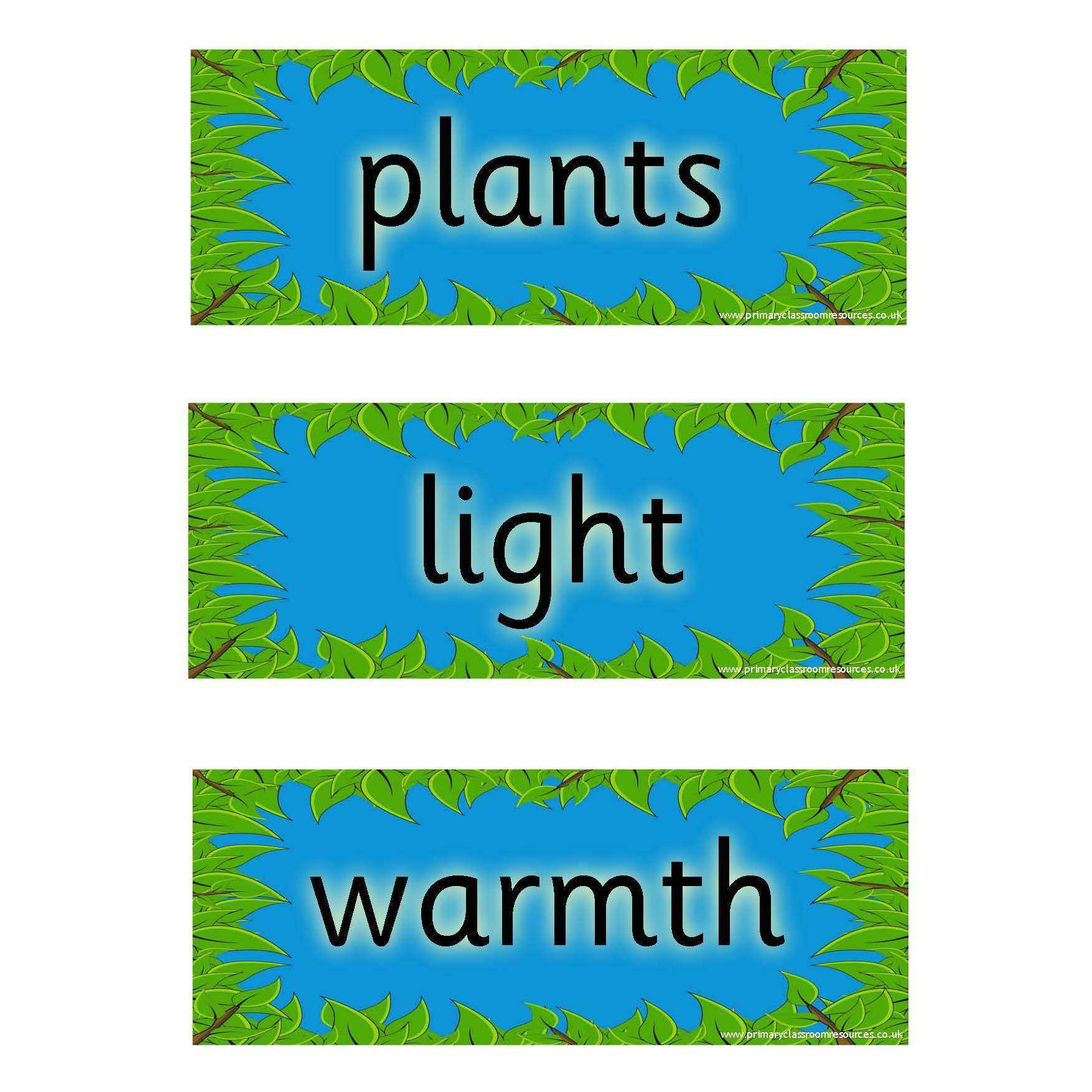 Helping Plants Grow Well Vocabulary Cards:Primary Classroom Resources