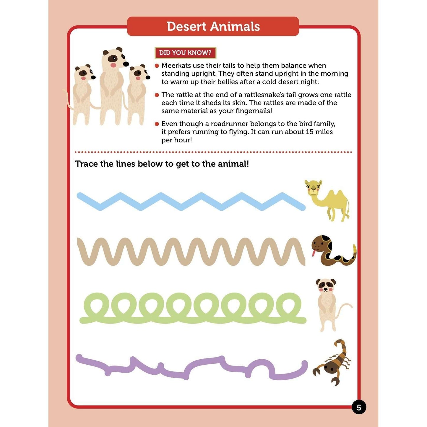 Learn About Animals Activity Book:Primary Classroom Resources