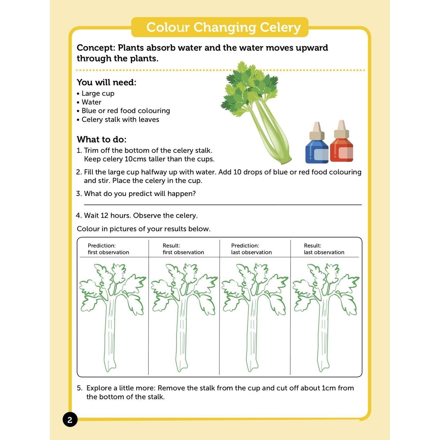 Learn About Science Activity Book:Primary Classroom Resources