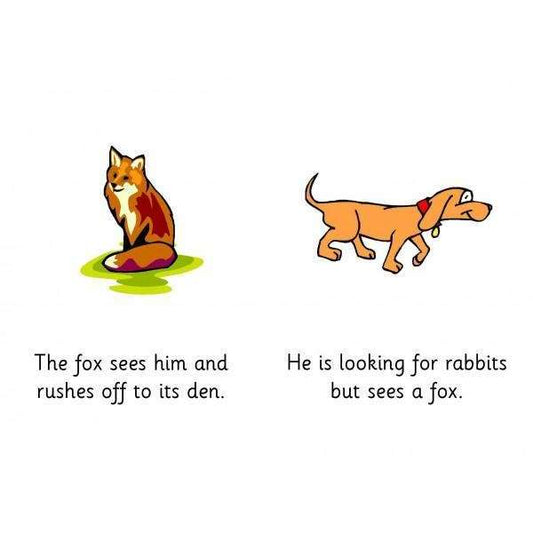 Letters and Sounds Phase 3 - In the Woods - Decodable Book:Primary Classroom Resources