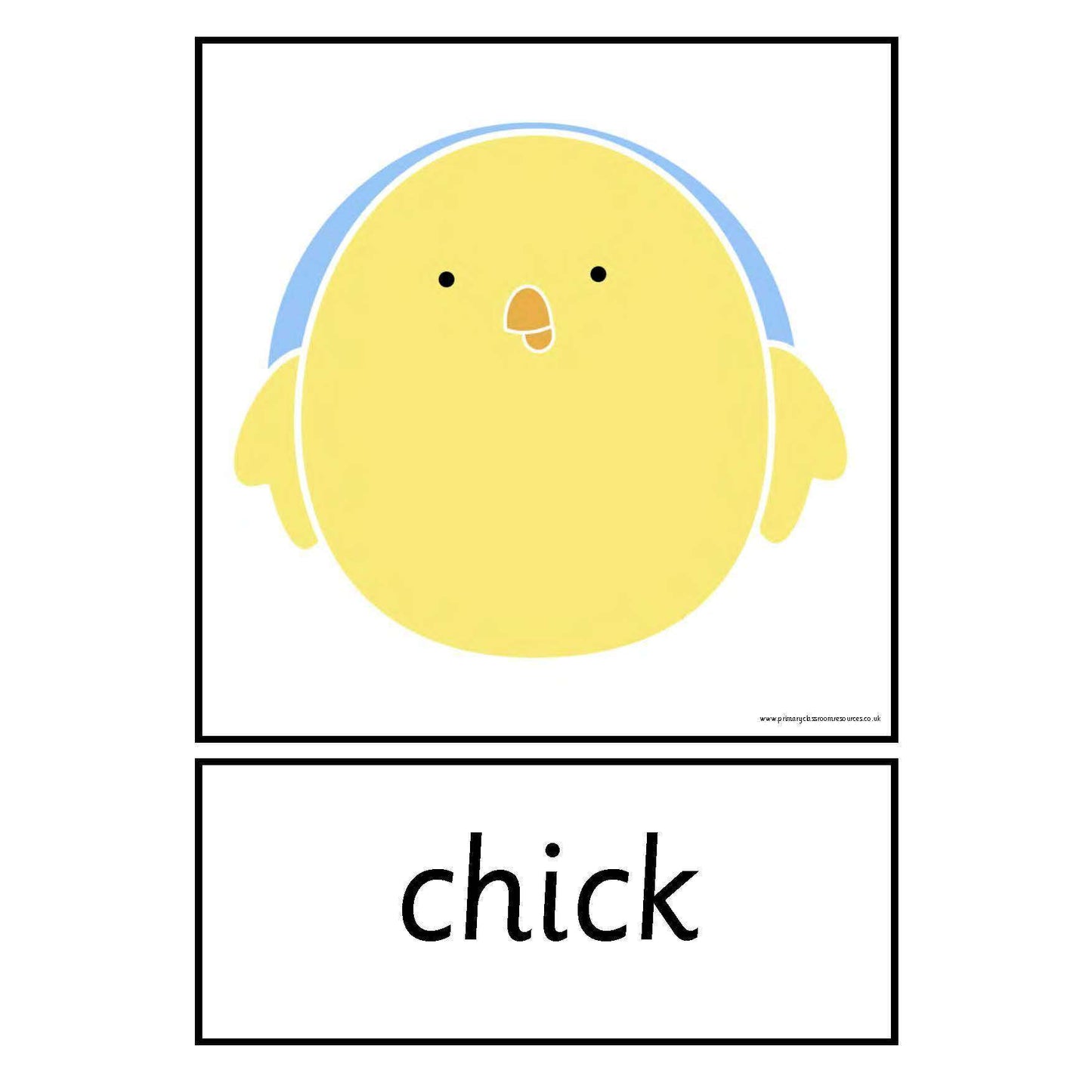 Life Cycle of a Chicken Cards:Primary Classroom Resources