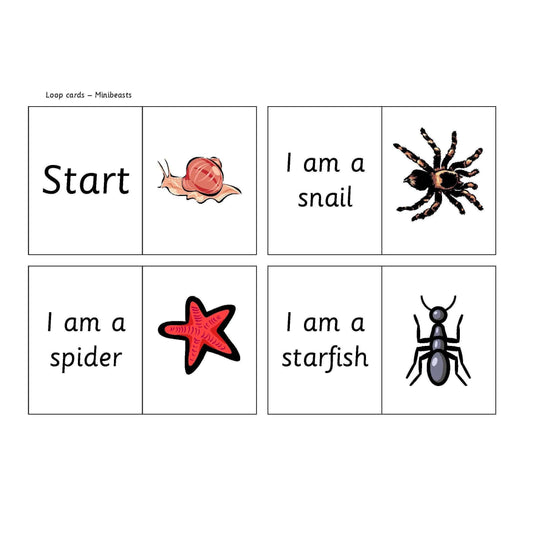 Minibeast Loop Cards:Primary Classroom Resources