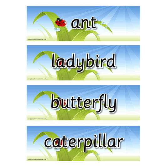Minibeast Vocabulary Flashcards:Primary Classroom Resources