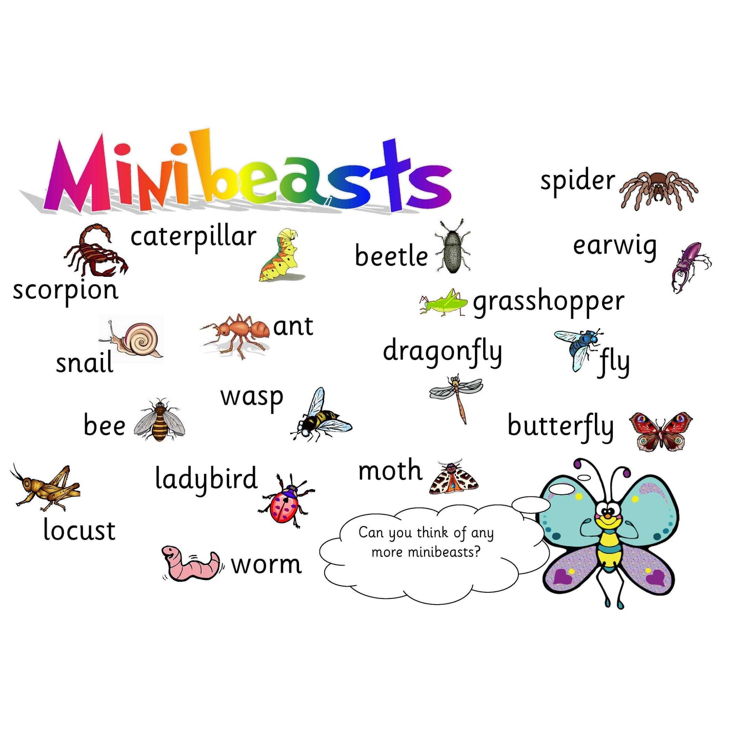 Minibeasts Vocabulary Mat:Primary Classroom Resources