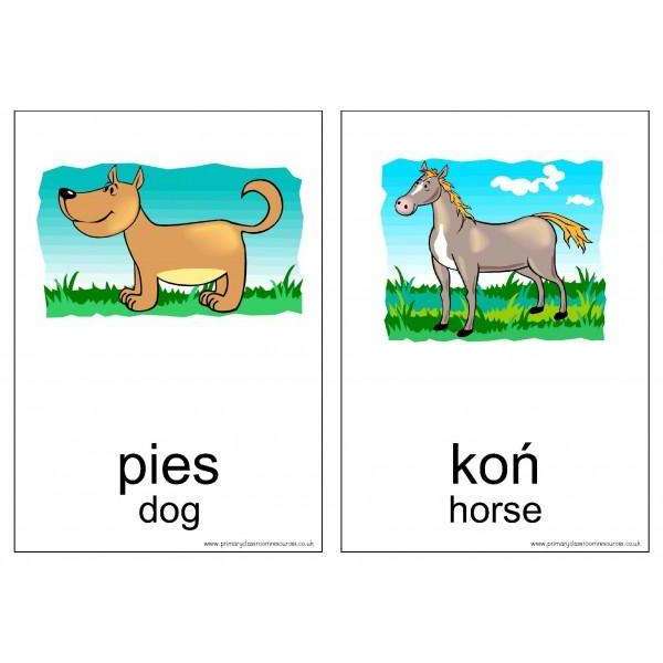 Polish Vocabulary Cards - Animals:Primary Classroom Resources