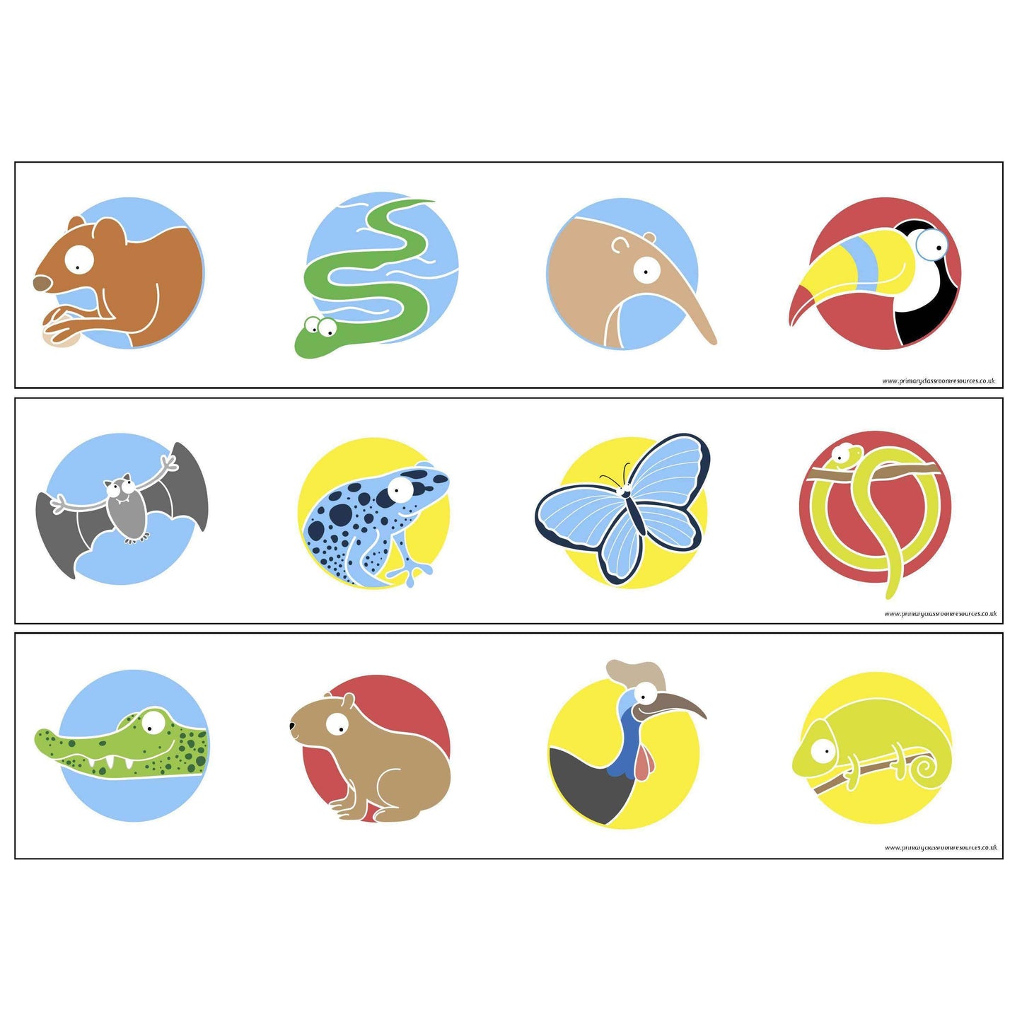 Print Your Own Rainforest Animals Display Borders:Primary Classroom Resources