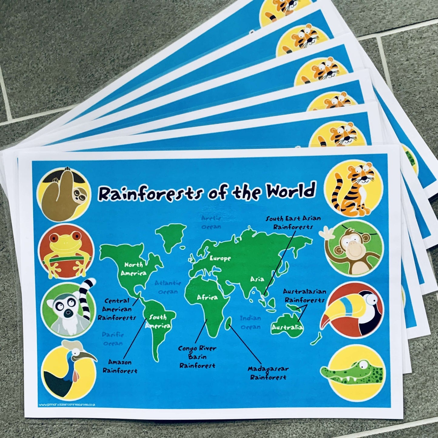 Rainforests of the World Map Pack:Primary Classroom Resources
