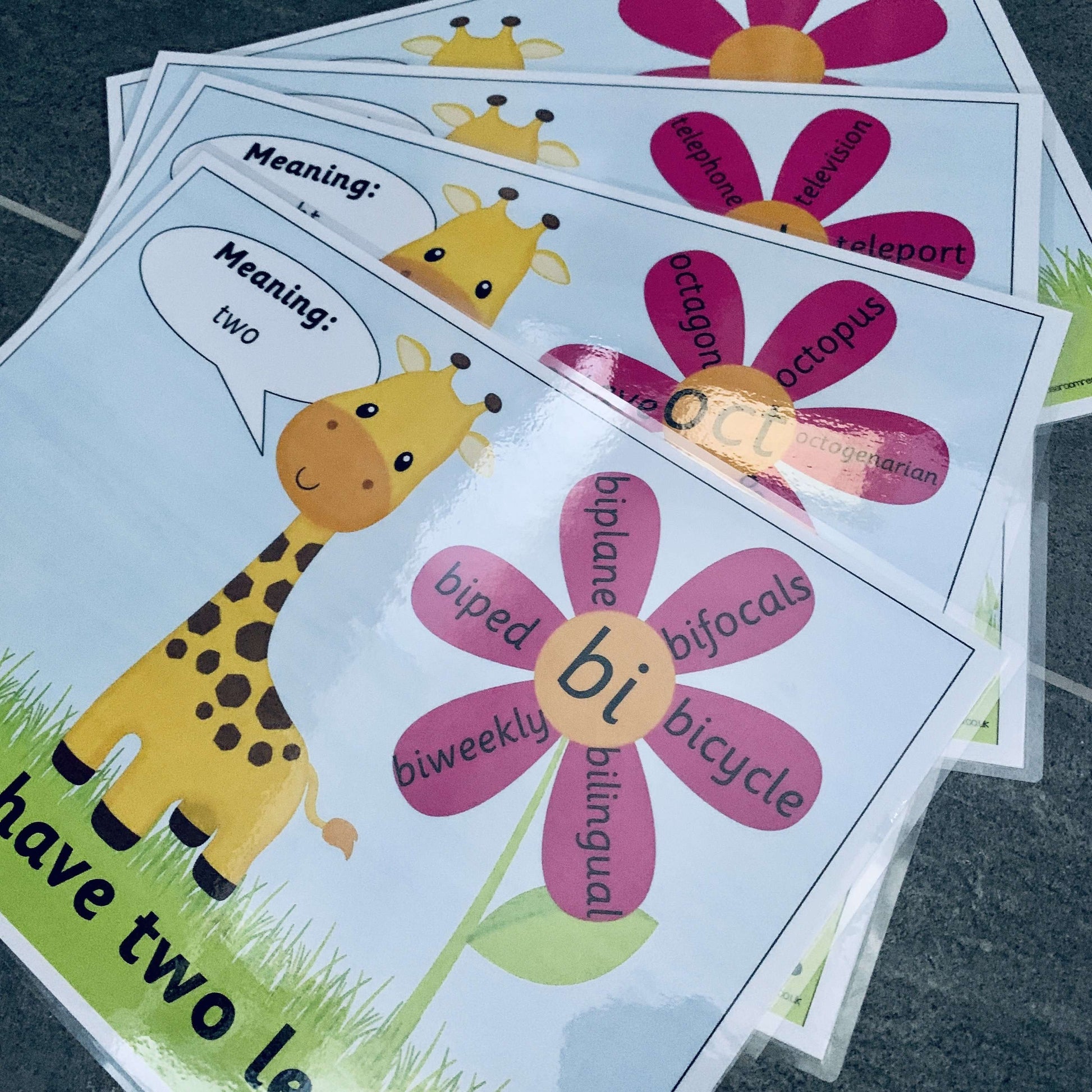 Root Words Posters:Primary Classroom Resources