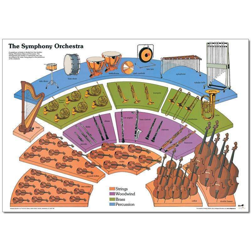 Symphony Orchestra Poster:Primary Classroom Resources