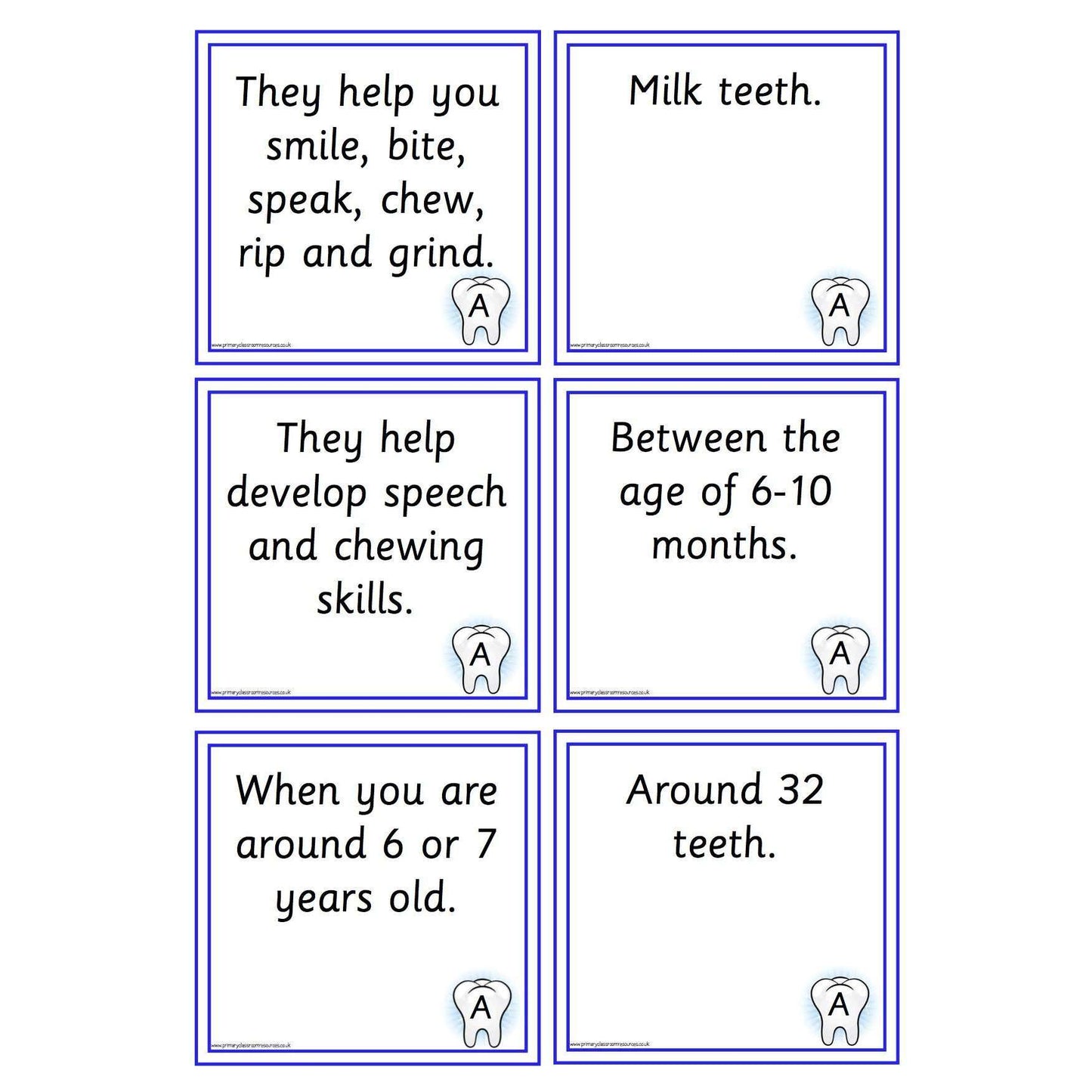 Teeth Question and Answer Cards:Primary Classroom Resources