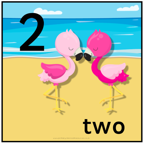 Tropical Themed Number Cards:Primary Classroom Resources