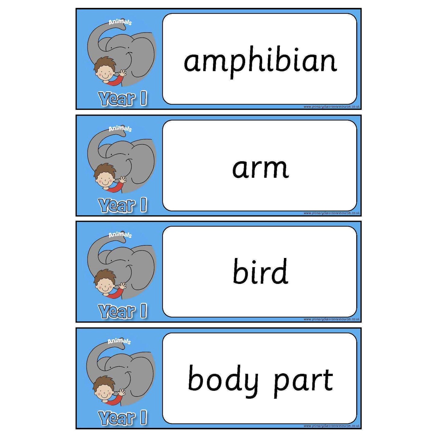 Year 1 Science Vocabulary - Animals:Primary Classroom Resources