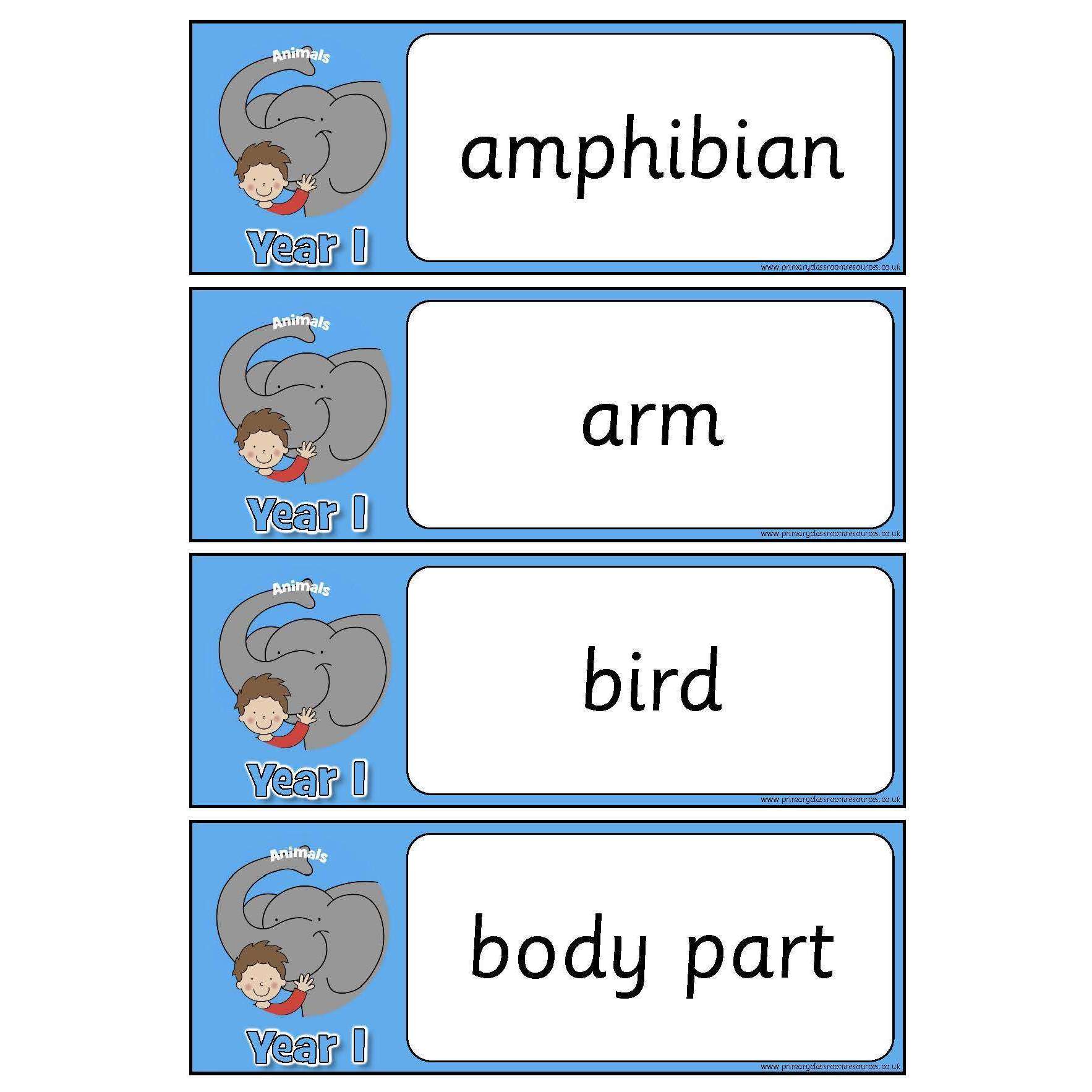 Year 1 Science Vocabulary - Animals:Primary Classroom Resources