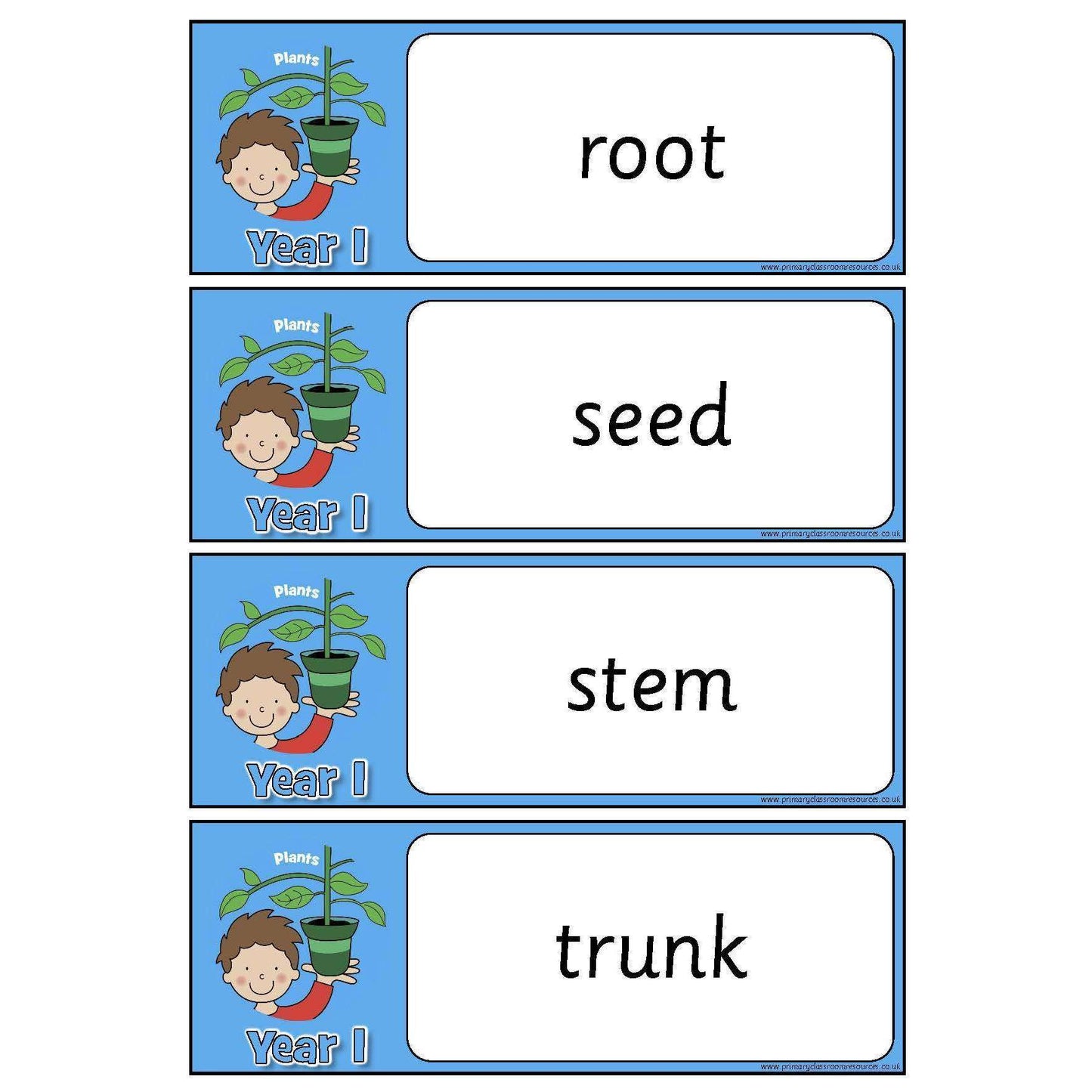 Year 1 Science Vocabulary - Plants:Primary Classroom Resources