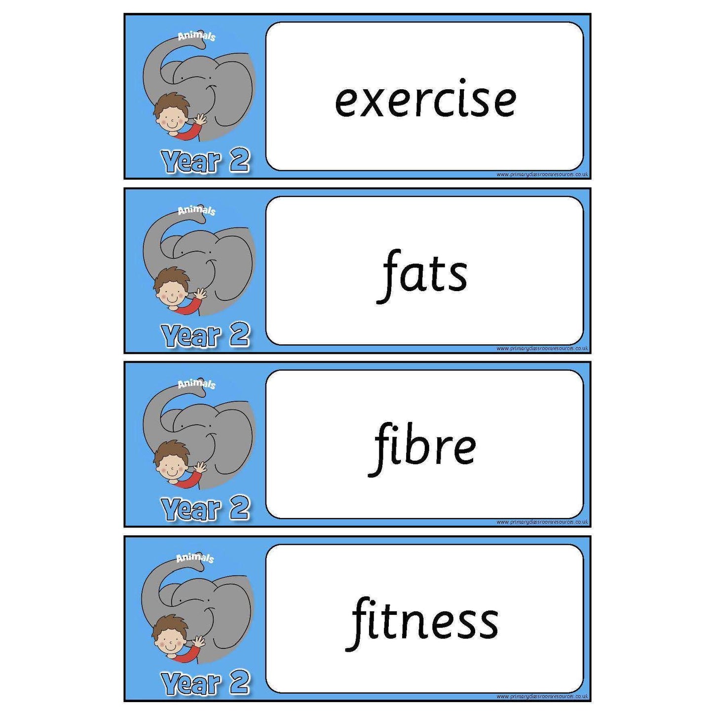 Year 2 Science Vocabulary - Animals including humans:Primary Classroom Resources