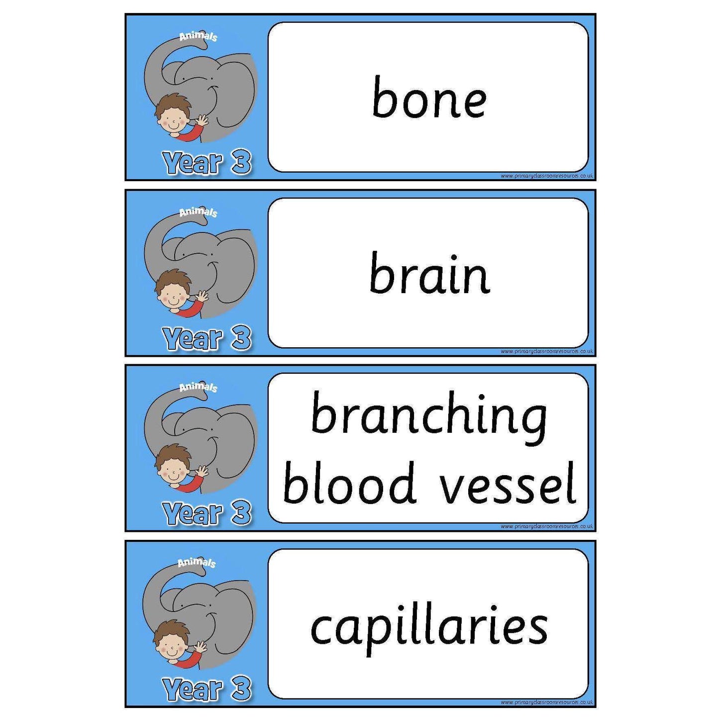 Year 3 Science Vocabulary Pack:Primary Classroom Resources