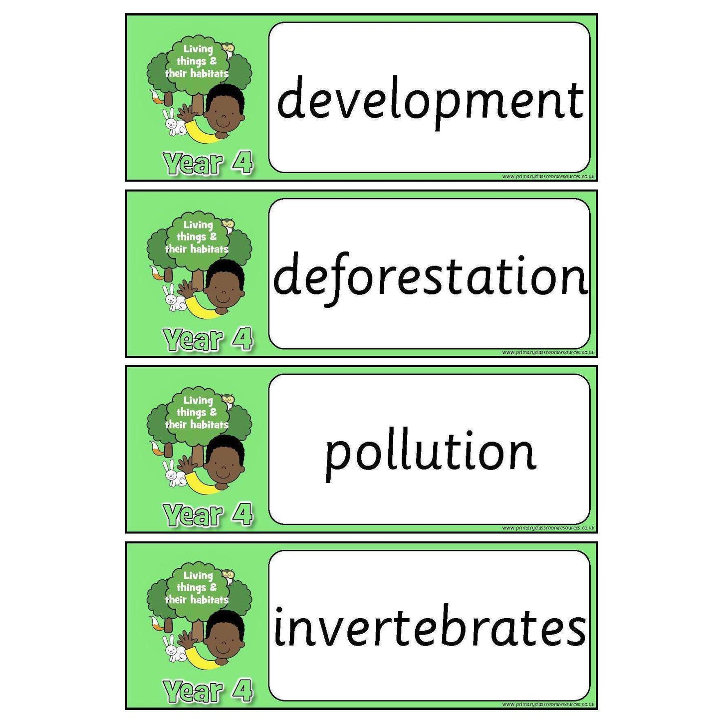 Year 4 Science Vocabulary - Living things and their habitats:Primary Classroom Resources