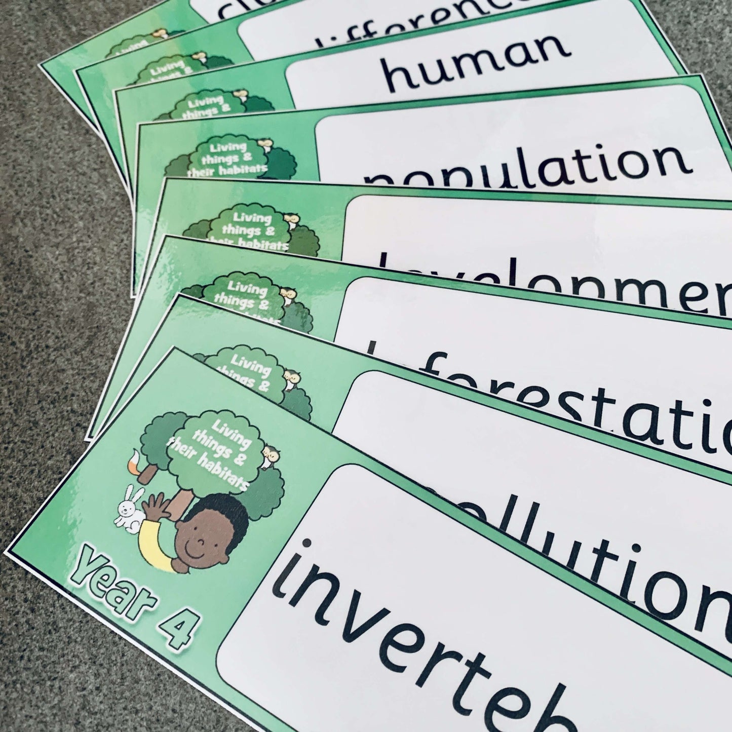 Year 4 Science Vocabulary - Living things and their habitats:Primary Classroom Resources