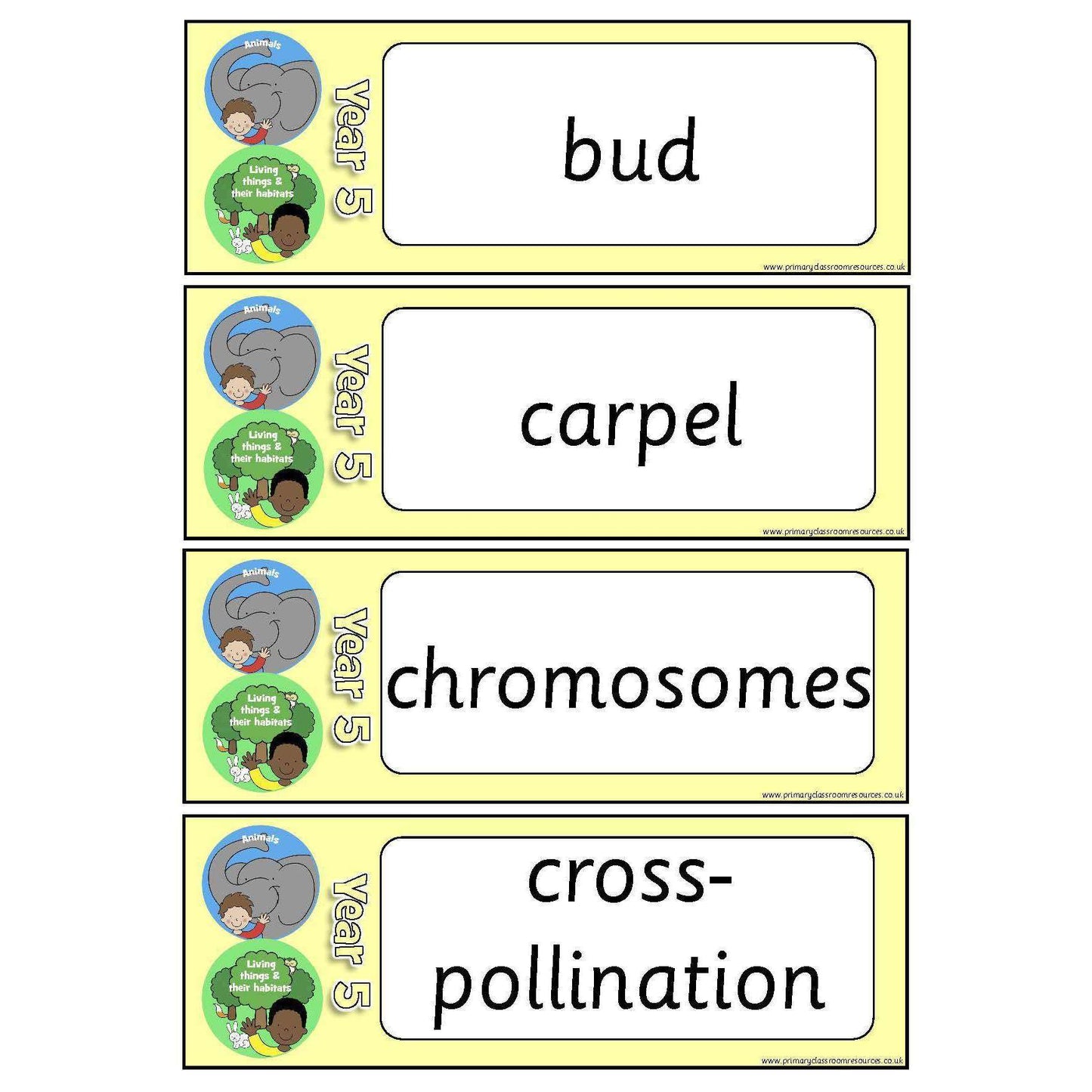 Year 5 Science Vocabulary Pack:Primary Classroom Resources