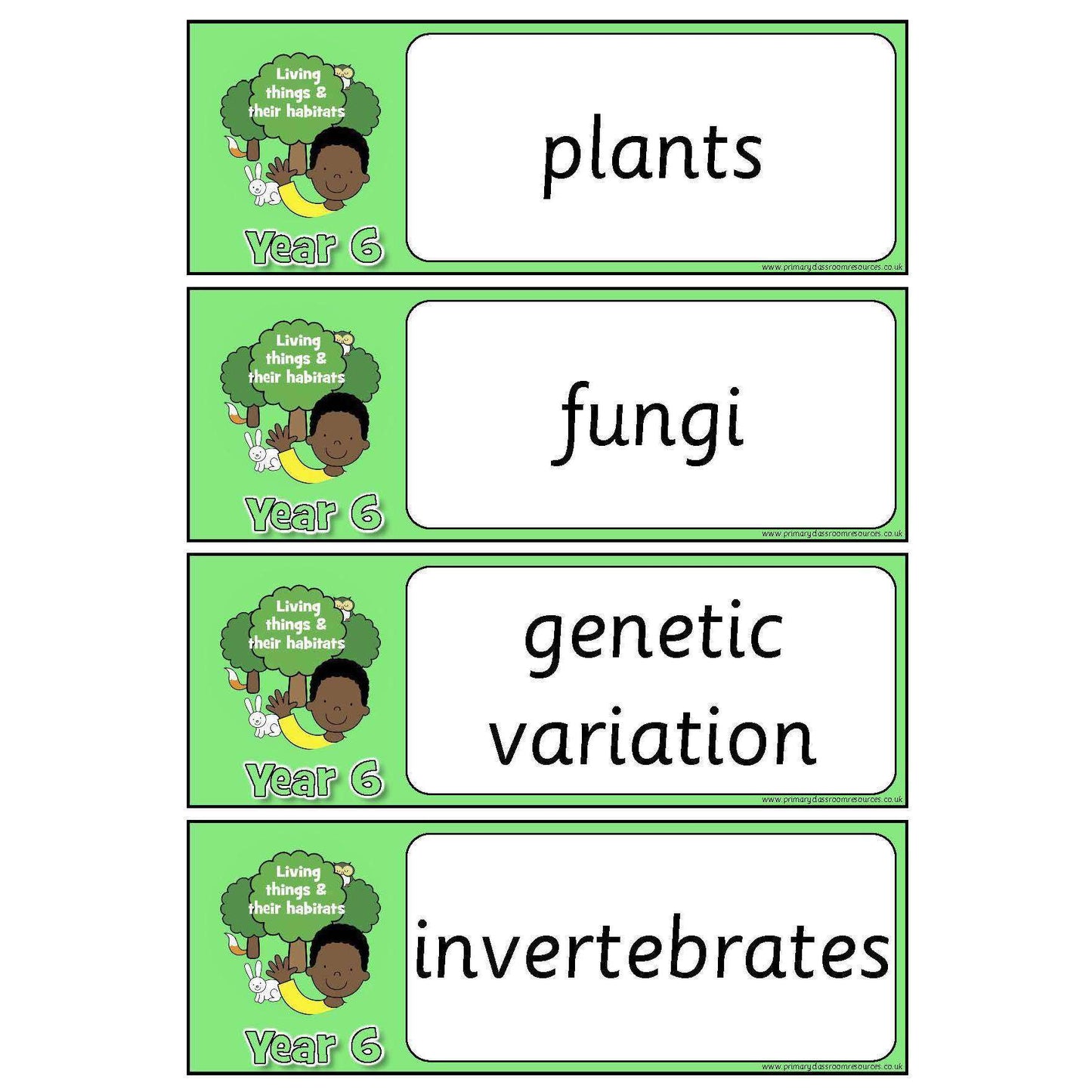 Year 6 Science Vocabulary - Living things and their habitats:Primary Classroom Resources
