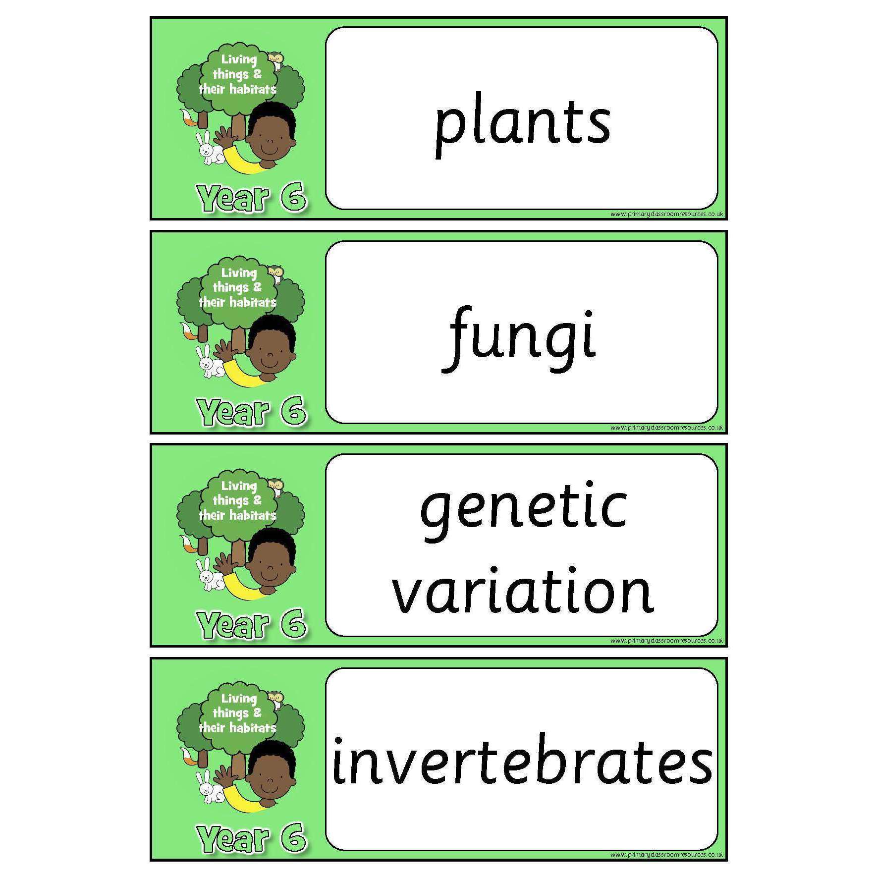 Year 6 Science Vocabulary - Living things and their habitats:Primary Classroom Resources
